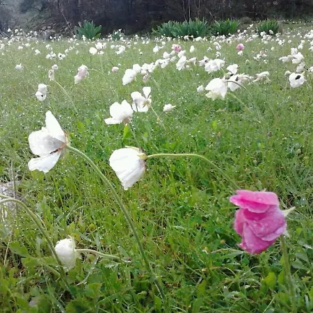 Relaxing In Mandria, Apartment Mandria (Paphos)